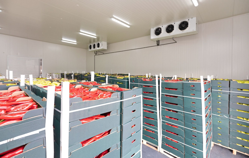 कोल्ड स्टोरेज; cold storage warehouse