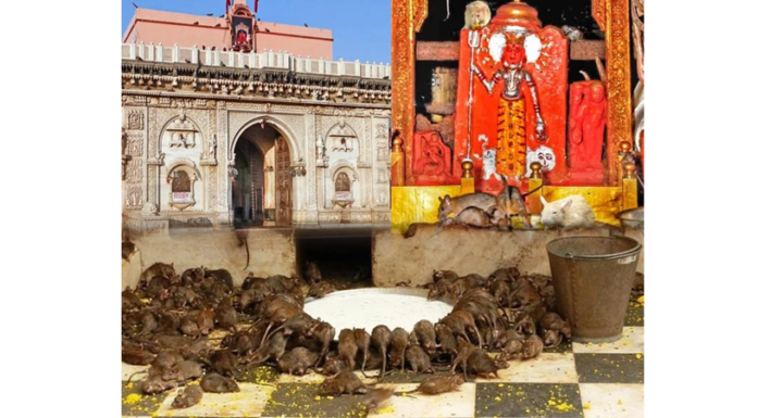 करणी माता मंदिर 450 करणी माता मंदिर