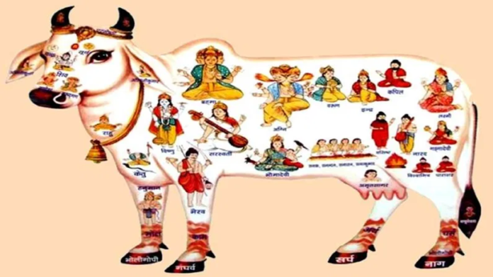 गाय को सनातन धर्म, Cow worship benefits